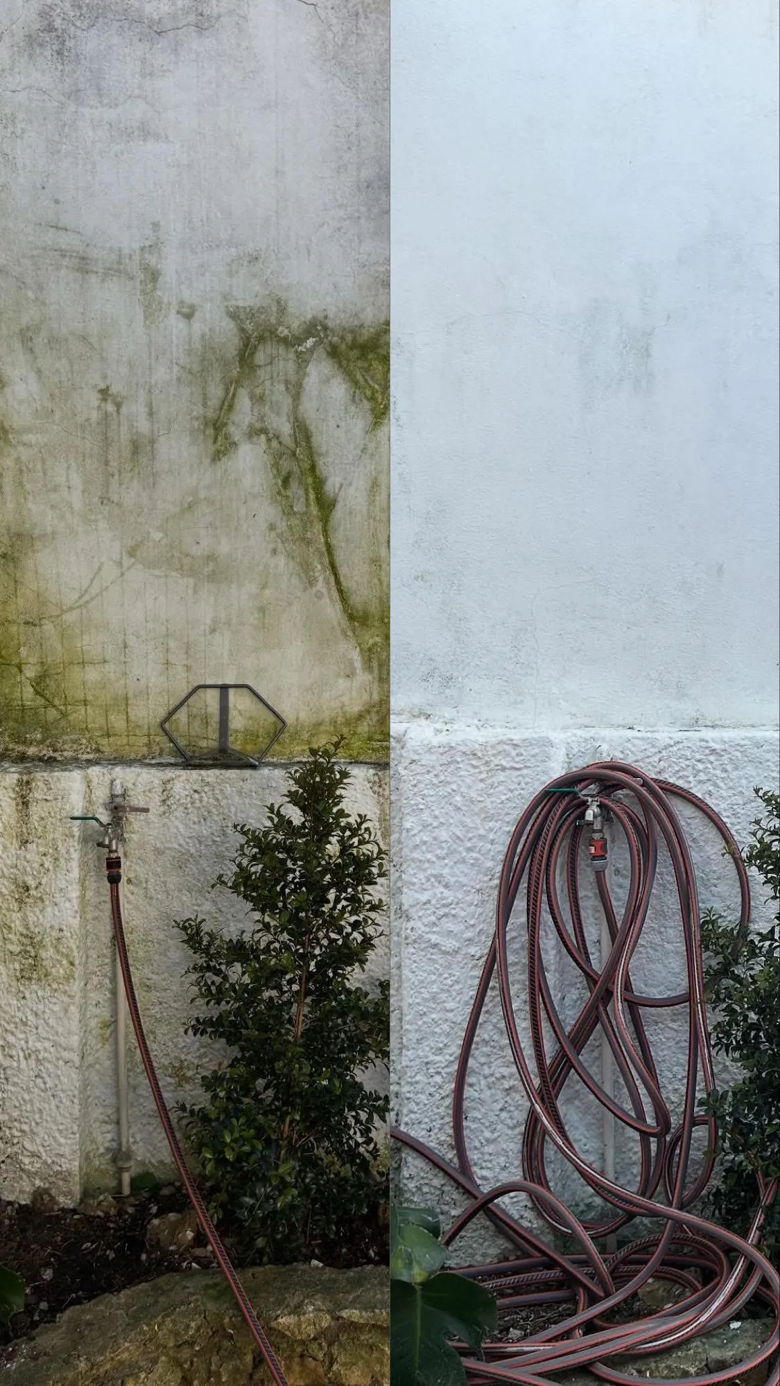 Muro com musgo antes e depois da lavagem profissional - remoção total de musgo verde