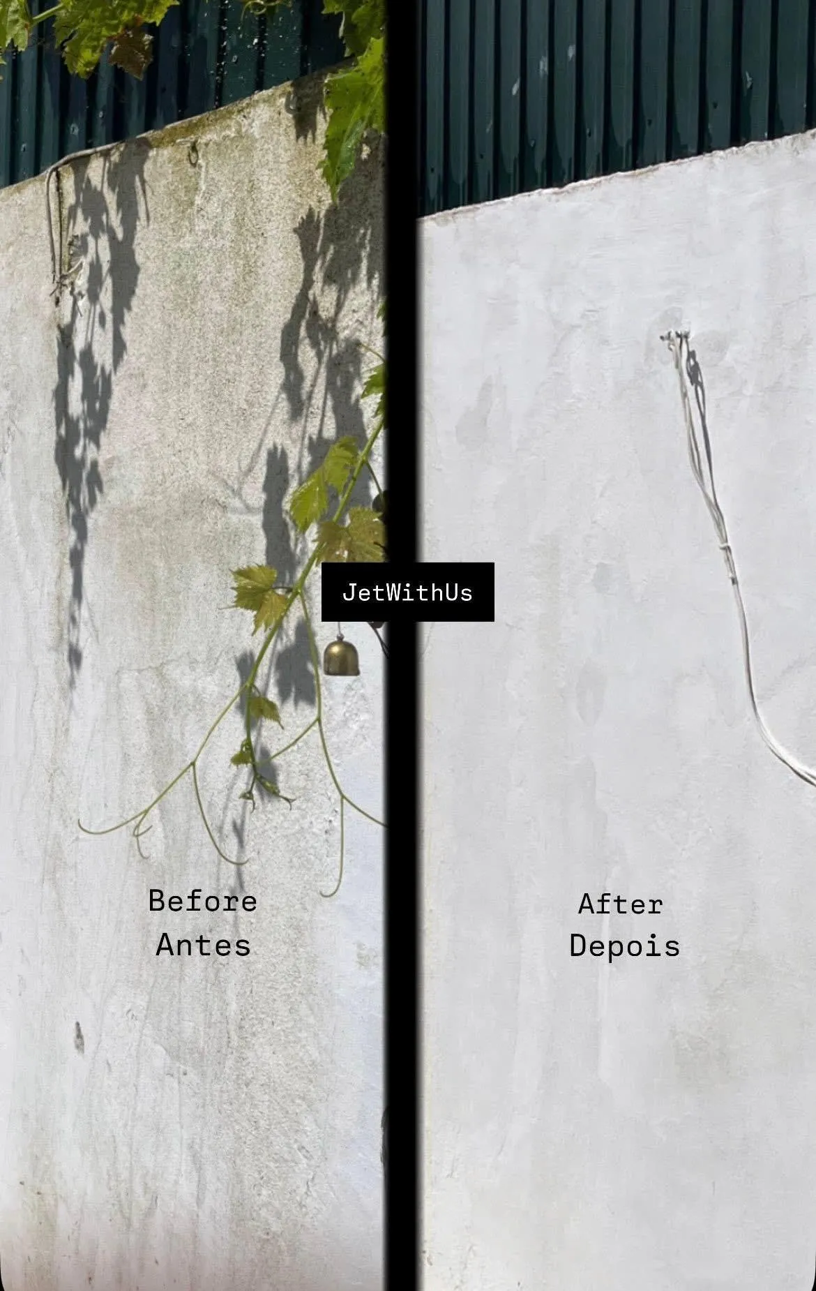 Muro com plantas antes e depois da lavagem profissional